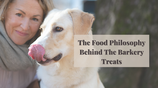The Food Philosophy Behind My Barkery Treats