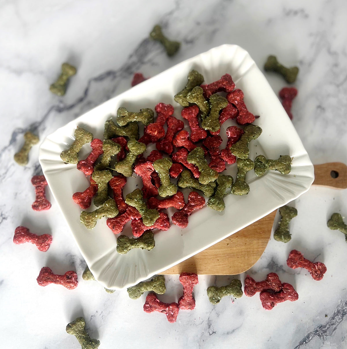 Holiday Treats: festive red and green dog treats by The Barkery