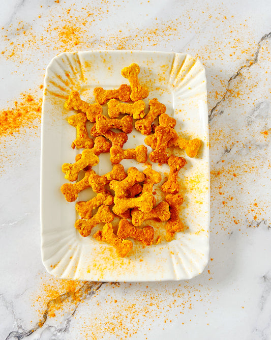 Antinfiammatori alla Curcuma Biscotti per Cani