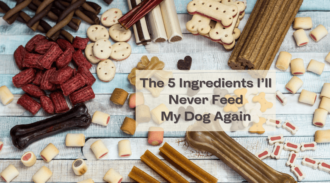 The 5 Ingredients I’ll Never Feed My Dog Again