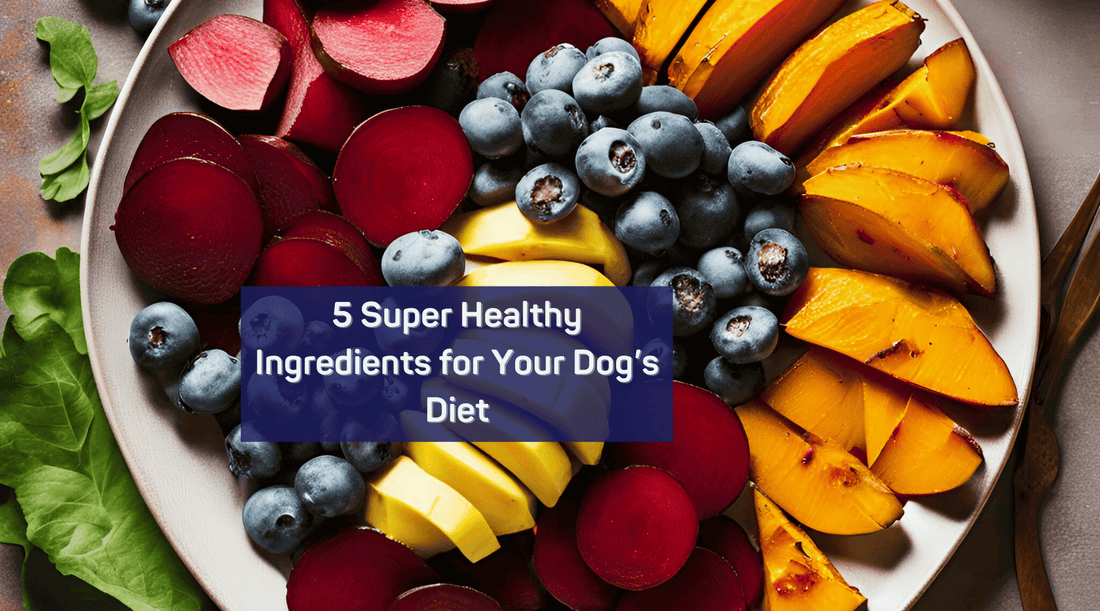 5 Super Healthy Ingredients for Your Dog’s Diet