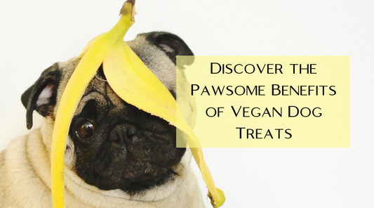 Discover the Pawsome Benefits of Vegan Dog Treats