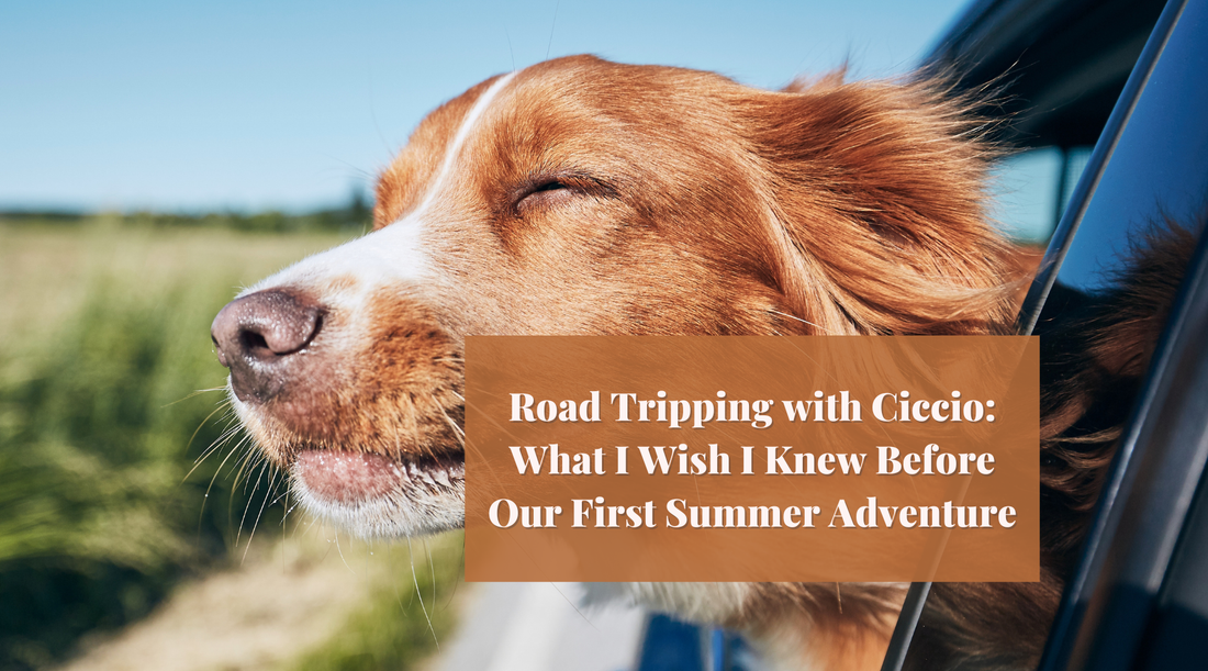 Road Tripping with Ciccio - What to Know Before You Go