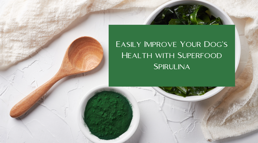 Improve your Dog's Health with Spirulina