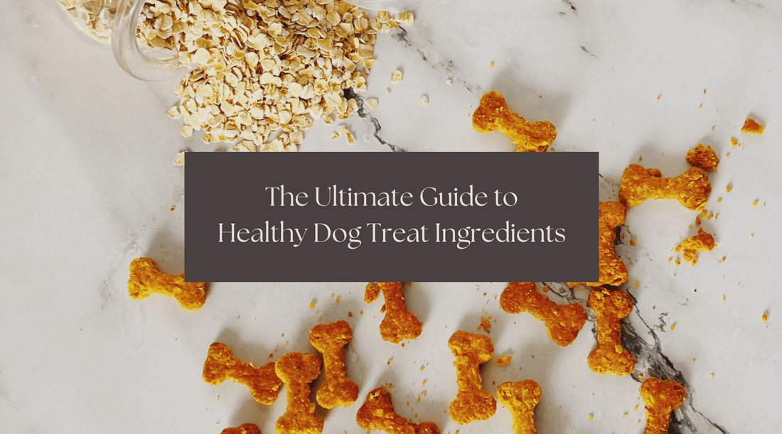 The Ultimate Guide to Healthy Dog Treat Ingredients