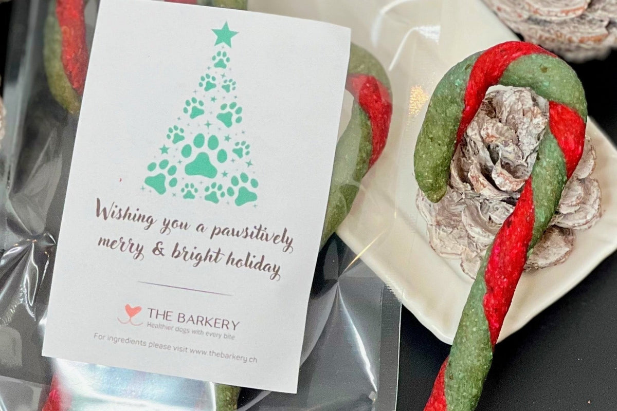 Candy cane shaped dog treats