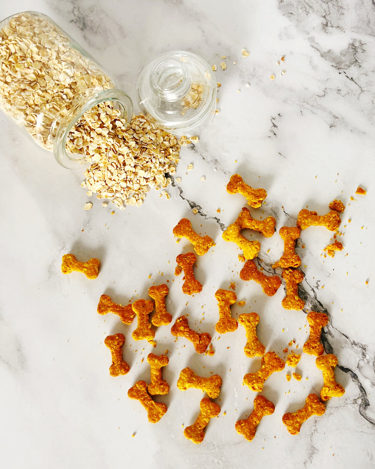 Anti-Inflammatory Turmeric Dog Treats | All Natural – The Barkery